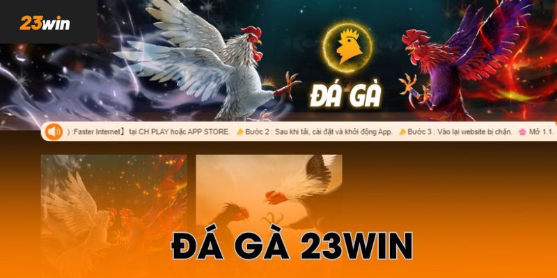 Giới thiệu đá gà 23Win