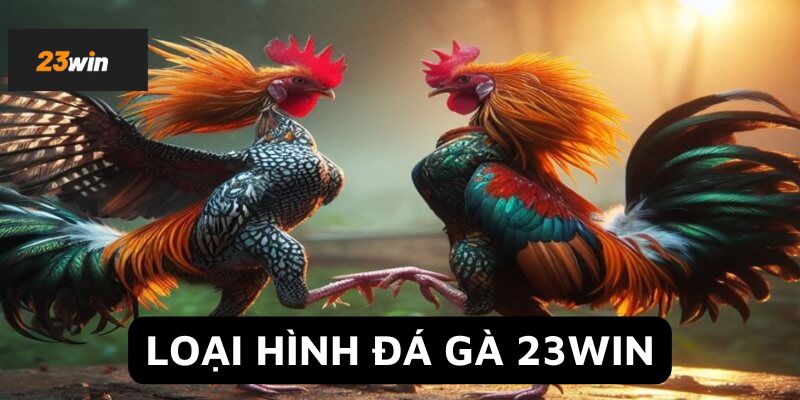 Loại hình đá gà 23Win cần biết